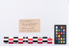 Etikett zu Bronzeschwanenhalsnadel (NHMW-PRAE-035777)